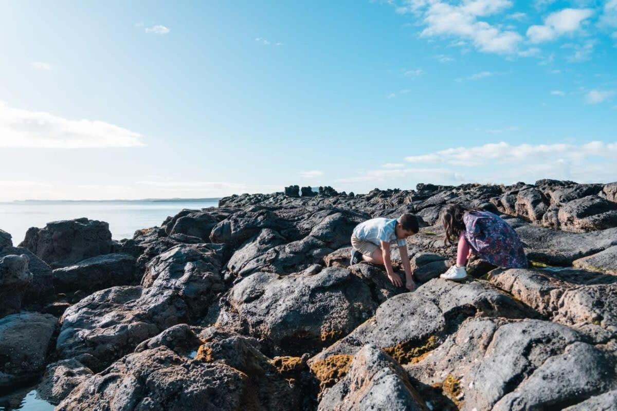 Takapuna Beachfront W Stunning Views Auckland Buitenkant foto